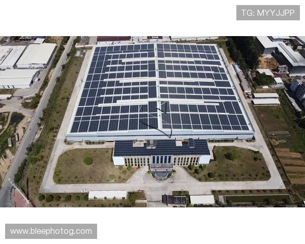 918博天：致力于新能源技术研发与应用推广，助力国家绿色能源战略的实施